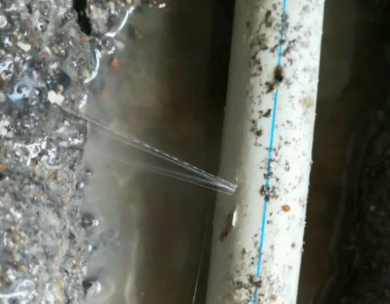 米林测漏水哪家好