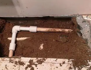 米林测漏水哪家好